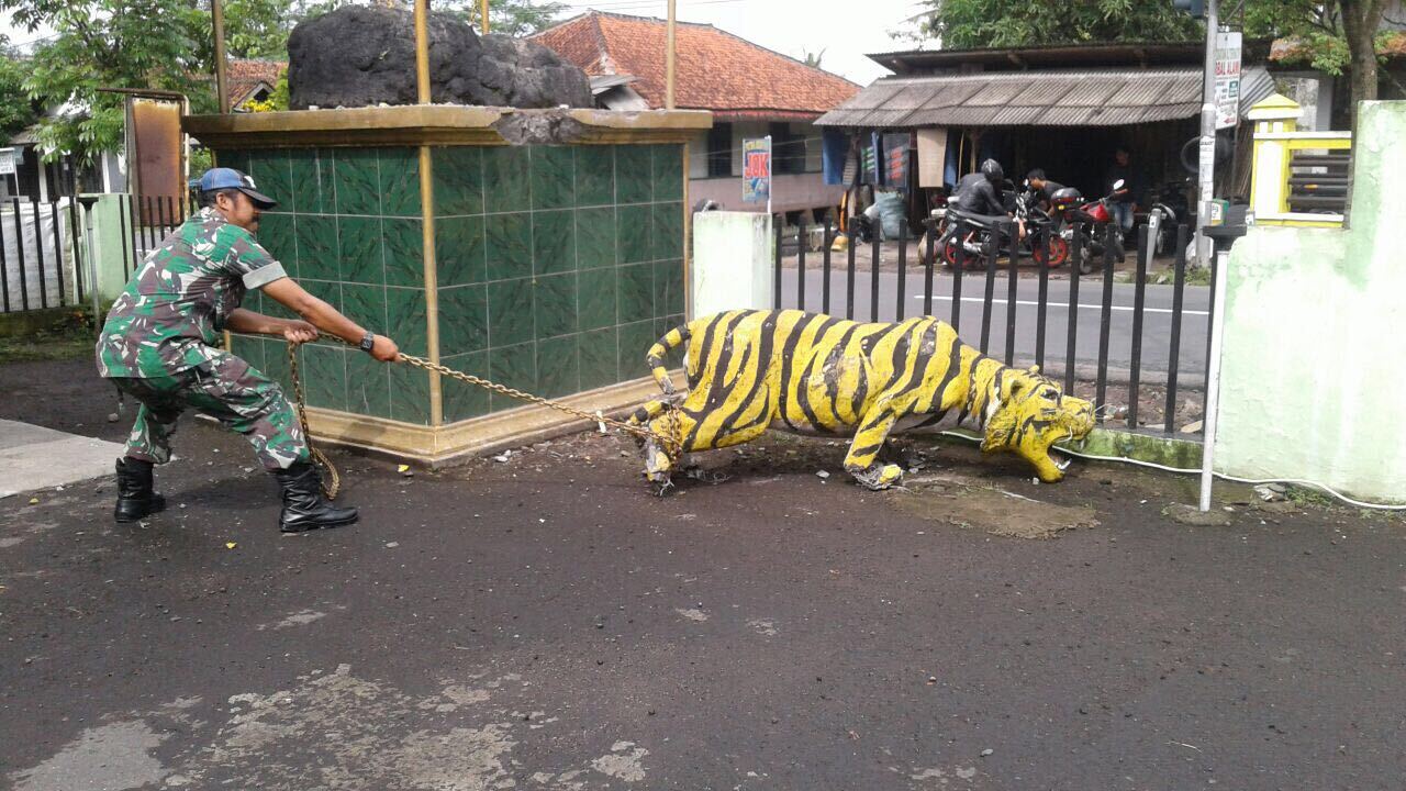 Harimau Ditangkap Oknum TNI