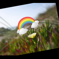 rainbow-flower