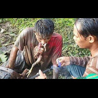 suro-manunggal-kesenian-kuda-lumping-extrim-makan-ayam-hidup-hidup