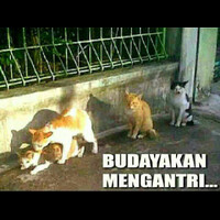 ketertiban-itu-indah
