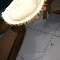 belah-duren-gan