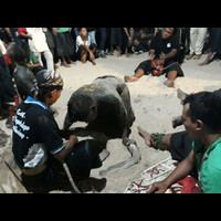 gati-rogo-budoyo-extrim-kejar-kejar-penonton-live-srikandi-kepanjen-malang