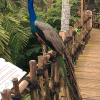 taman-burung-royal-safari-garden