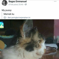 translate