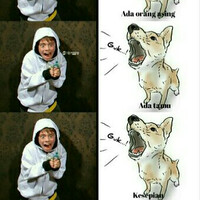 ane-emang-takut-anjing