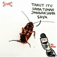 andai-kecoa-bisa-ngomong