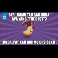 kuda-yang-the-best-freethejoy