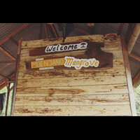 wisata-alam-munjang-mangrove-di-kurau-barat
