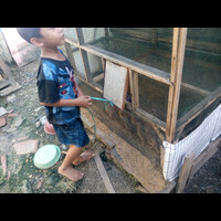 ngabuburit-sambil-memberikan-pakan-burung
