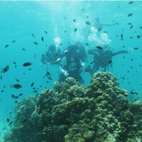 underwater-pulau-mandangin---sampang