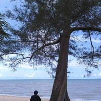 pantai-terentang-bangka-tengah