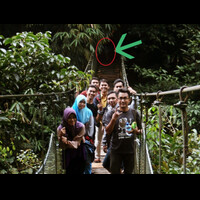 curug-cibadak-ndash-suaka-elang-loji