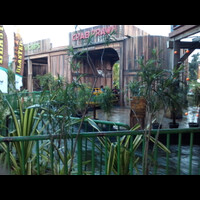 salah-satu-wahana-di-jungleland