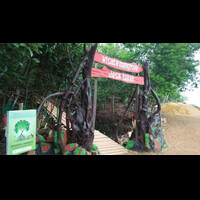 wisata-mangrove-desa-tukak-sadai