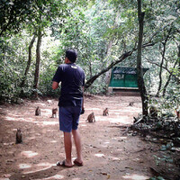 hutan-kera-nepa-banyuates