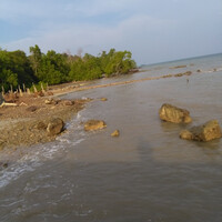 pesisir-pantai-tanjung-gading-pulau-lepar