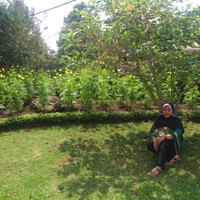 wisata-taman-bungan-sampang