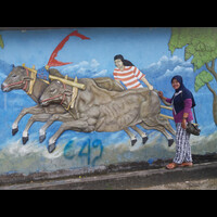 wisata-kerapan-sapi-pangarengan