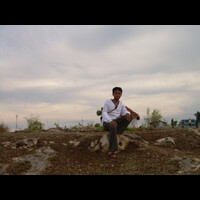 stinggil