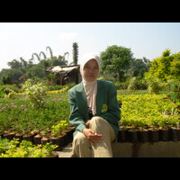 taman-bunga