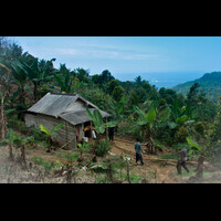 puncak-cengkeh