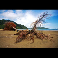 sisi-lain-pantai-karanggongso