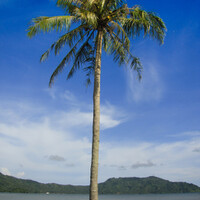 sisi-lain-pantai-karanggongso