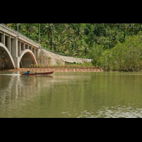 jembatan-mangrove