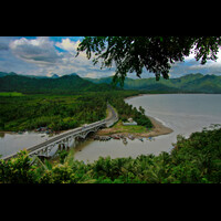 jembatan-mangrove