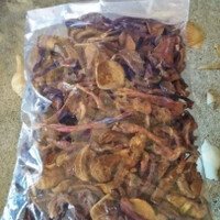 kulat-pelawan-kering