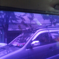 mudik-bareng