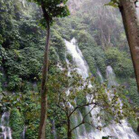 curup-maung--rejang-lebong--bengkulu