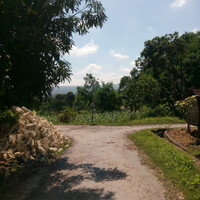 mudik-di-hari-lebaran-suasana-bikin-adem