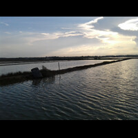 post-image