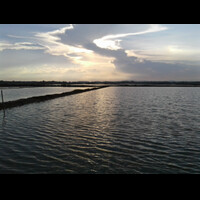 post-image