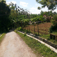 mudik-di-hari-lebaran-kelihatan-lurus-tapi