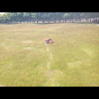 lapangan-pulau-kambing-3