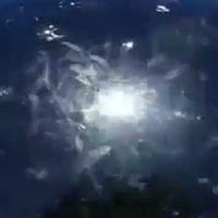 gejolak-hidup-merantau