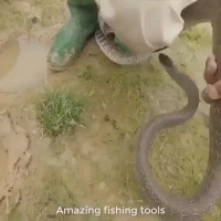 mancing-pakai-uler-ada-yang-pernah-coba-gan