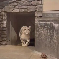 reaksi-kamu-ketika-melihat-seseorang-yang-lebih-kuat