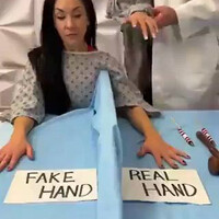 body-transfer-illusion