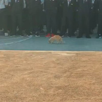 edisi-kocheng-komandan-oyen