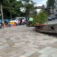 kang-parkir-gelut