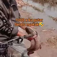bukan-cuma-ikan-doang-yang-pengen-kabur-ternyata