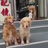 so-sweet