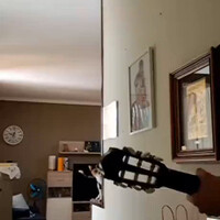 cat-has-the-blues