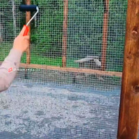 ilusi-optik-sederhana