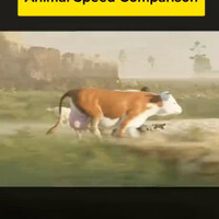 perbandingan-kecepatan-lari-binatang-darat