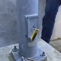 tupai-milyader-bangkrut-setelah-tabungannya-dirampok-tukang-lampu