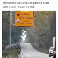 pajak-jalan-raya